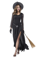 Fancy Glitter Long Gown Wicked Witch Costume