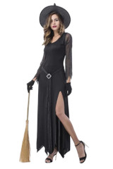 Fancy Glitter Long Gown Wicked Witch Costume