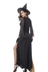 Fancy Glitter Long Gown Wicked Witch Costume