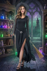Fancy Glitter Long Gown Wicked Witch Costume