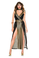 Queen Nefertiti Egyptian Costume