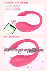 Sadie App Controlled Wearable Panty Vibrator Adult toy with G-spot and Clitoral Stimulation with 10 vibration modes and waterproof