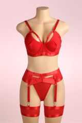 Thalee Red Bra criss cross front garter belt and mesh sheer thong with garter waist  actual product picture on a mannequin front view 