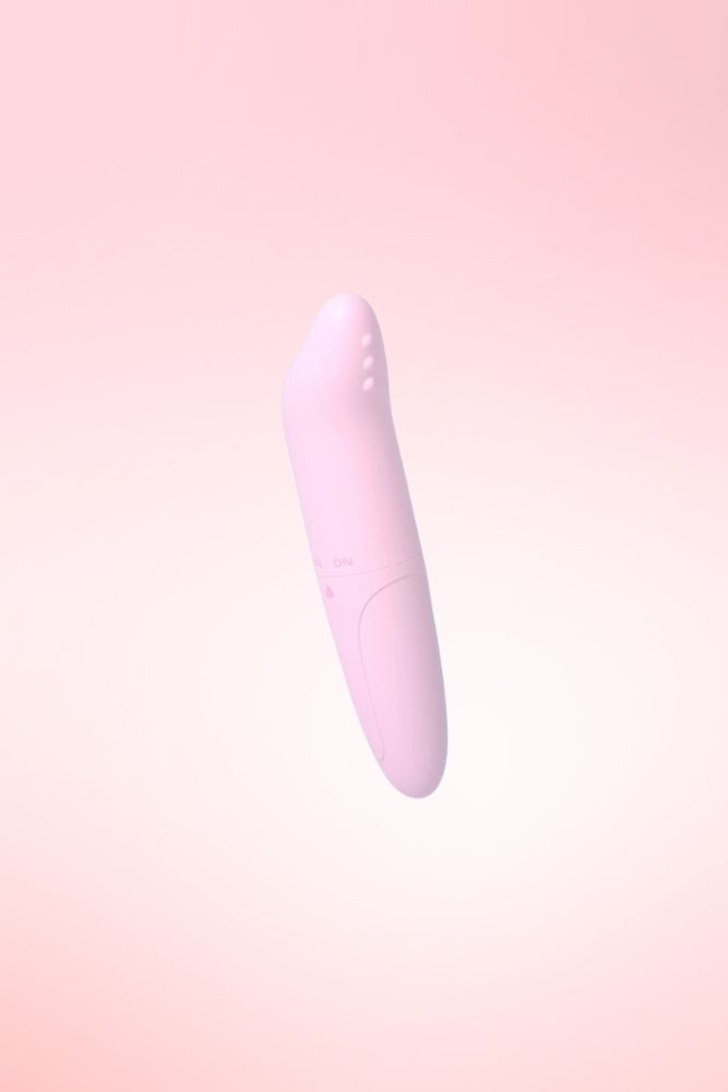 Dolphin Pocket Mini Vibrator