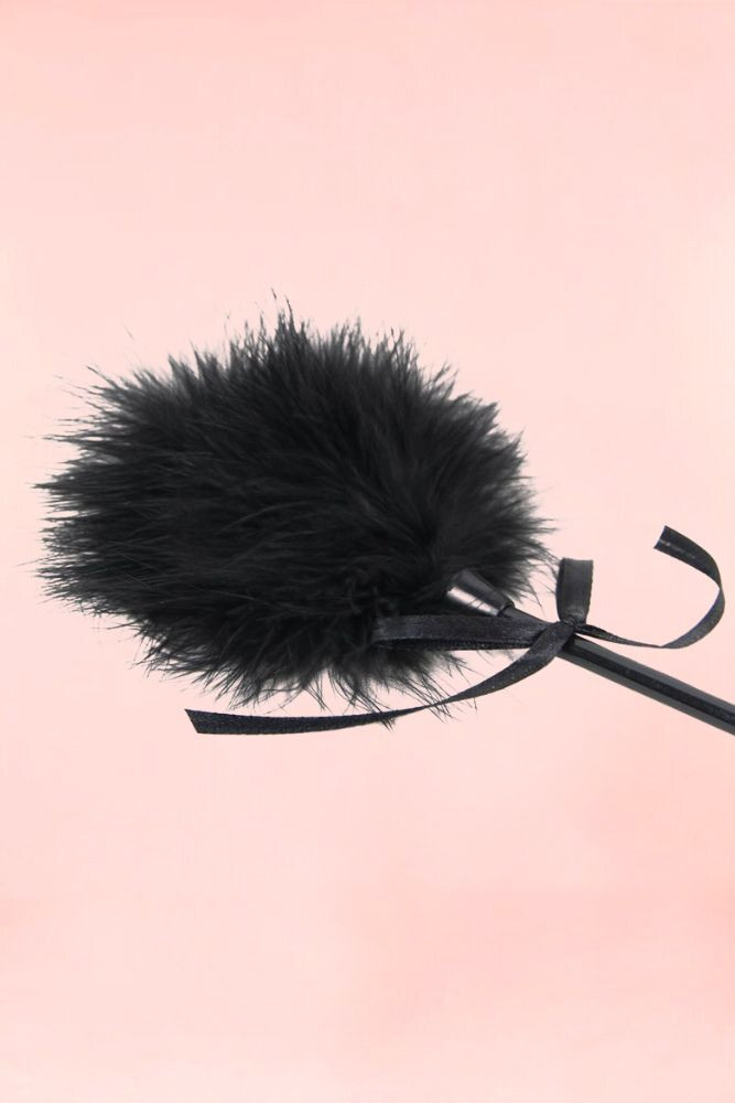Feather Tickler Spanking Riding Crop