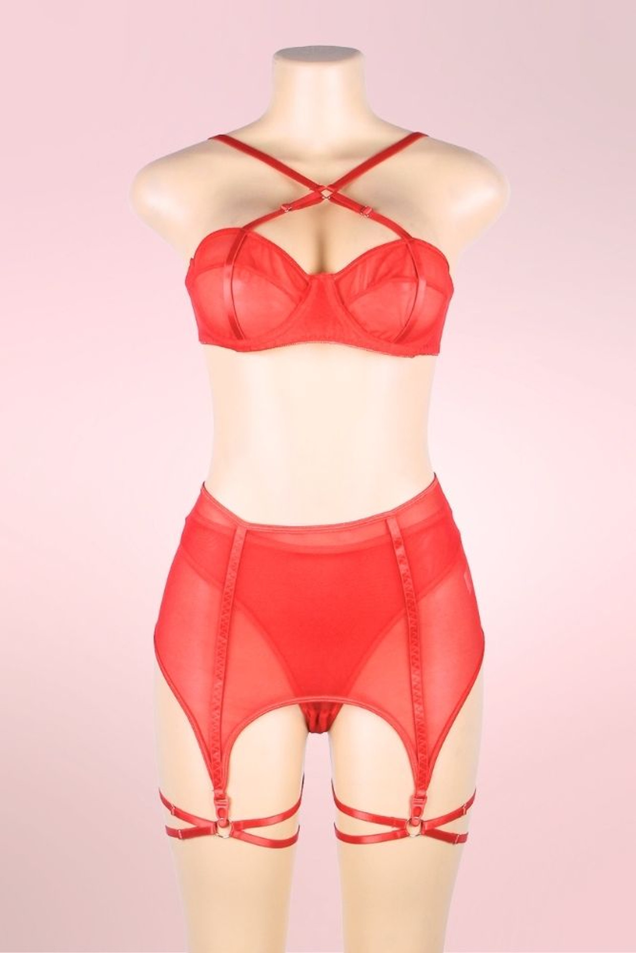 Pippa Red Mesh Bra Highwaist Garter Belt Panty Bondage plus size Lingerie Set  actual product picture on a mannequin front view 