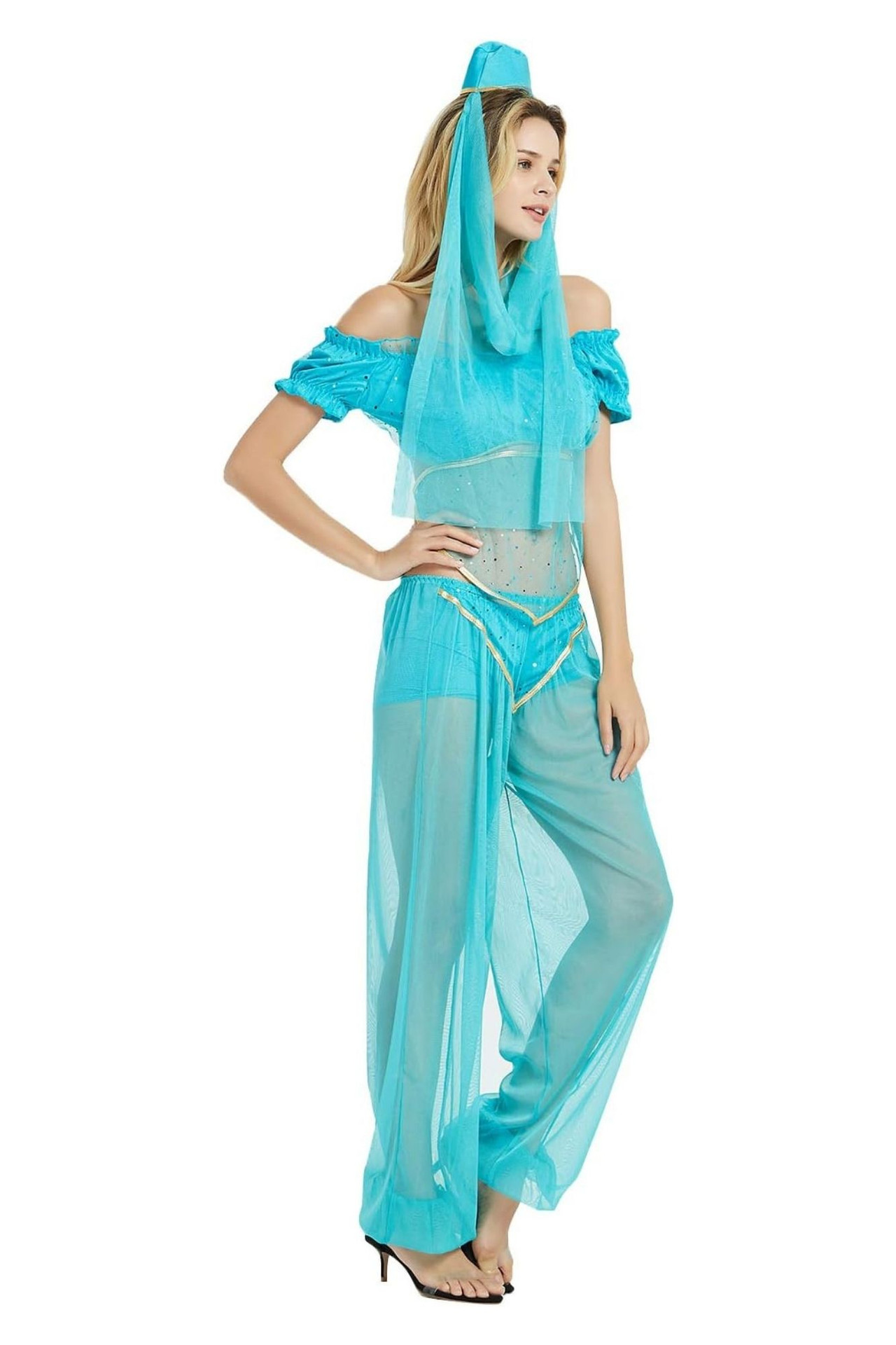 Arabian Princess Belly Dancer Genie Costume