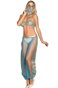 Arabian Babe Belly Dancing Genie Costume