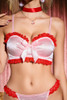 Amanda Pink Satin Red Bra and Panty Lingerie Set