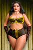 Roxy Plus Size Olive Bra and Panty Set.