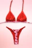 Strawberry Pink Red Two Piece Swimsuit Thong Bikini
