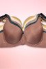 bras for big busts.