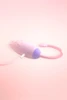 Cat  Vibrator Quiet Vibrating Egg with Wireless Remote Control 