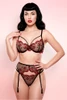 Black Bra Garter belt and thong set.
