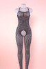 Plus Size Fishnet Catsuit Bodystockings