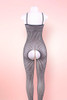 Plus Size Fishnet Catsuit Bodystockings