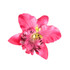 Pink Summer Orchid Small Hair Flower Clip