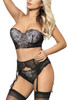 Daphne Lace Bustier Garter Belt Lingerie Set Plus