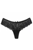 Adrianna Low Rise Scallop Lace Cheeky Brazilian Panty