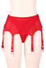 Bianca Red Mesh Retro Garter Belt Panty Set