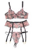 Divina Pink Floral Sheer Bra Garter Belt Set Plus