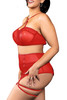 Pippa Red Plus Size Mesh Highwaist Garter Belt Skirt Lingerie Set