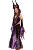 Deluxe Evil Sorceress Queen Storybook Maleficent Costume