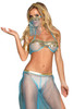 Arabian Babe Belly Dancing Genie Costume