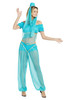 Arabian Princess Belly Dancer Genie Costume