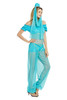 Arabian Princess Belly Dancer Genie Costume