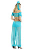 Arabian Princess Belly Dancer Genie Costume