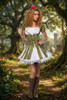 Deluxe Princess of Thieves Robinhood Costume