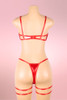 Cerise red bra and panty lingerie set actual product photo on a mannequin back view
