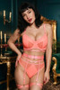 Olenna Peach Bra Garter belt and panty Harness Lingerie Set.