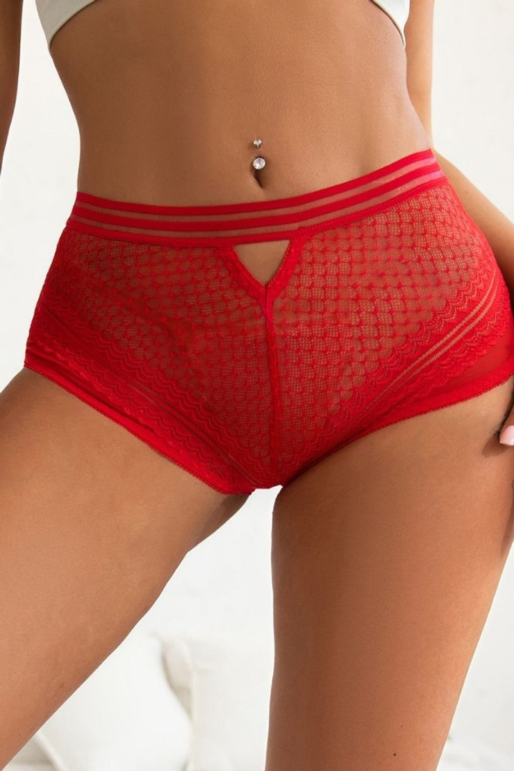 Milena Plus Size Red Retro High Waist Panty