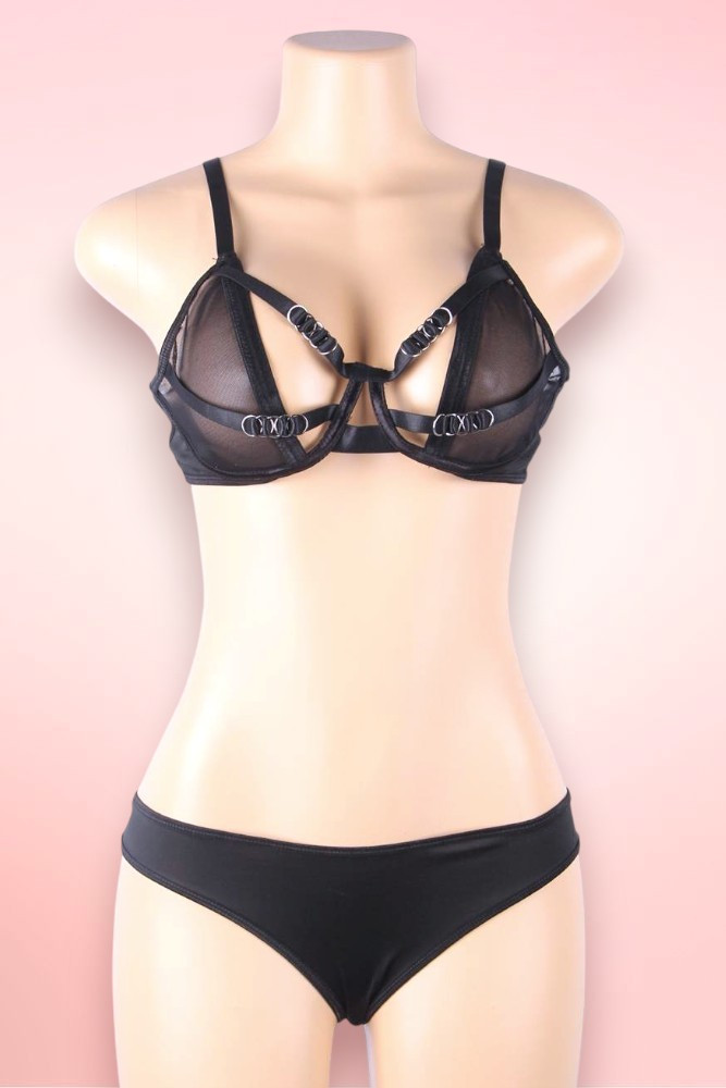 Eden Black Mesh Plus Size Bra and Panty Set