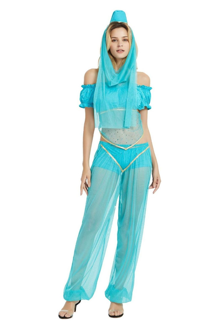Arabian Princess Belly Dancer Genie Costume