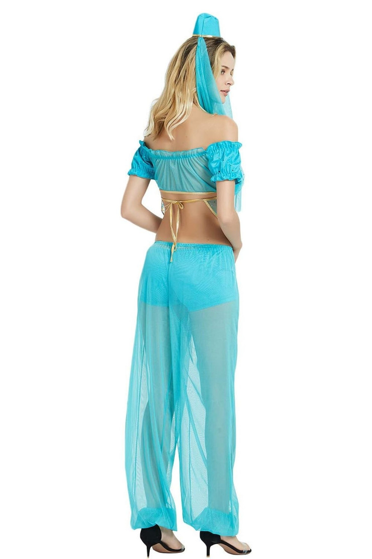 Arabian Princess Belly Dancer Genie Costume