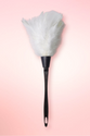 Feather duster French Maid Accessory.