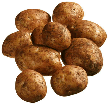 Potatoes - Agria (Yellow Flesh) - Per Kg