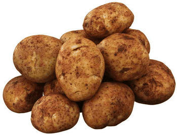 Potatoes - Ilam Hardy 10kg