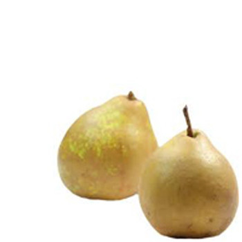 Pears - Winter Nellis - per kg