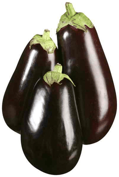 Eggplant Each 
