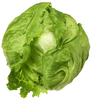 Lettuce  - Iceburg Each
