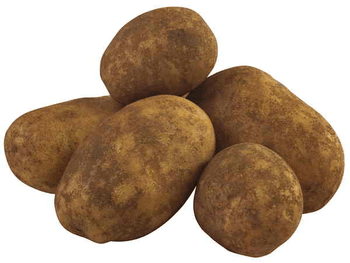 Potatoes - Agria (Mixed Grade) - 10kg