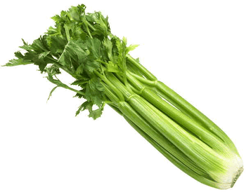 Celery - Half