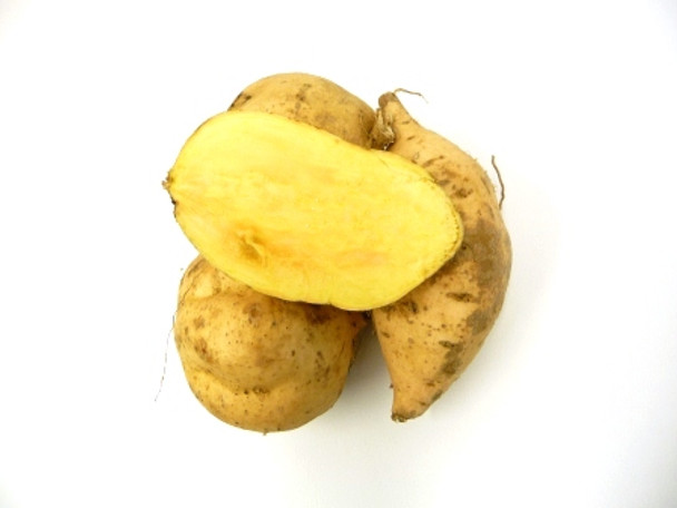 Kumara - Gold - Per kg