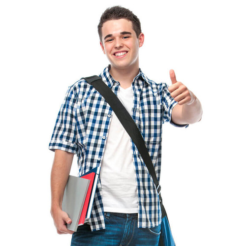 [Sample] Blue Color Formal Checks Shirt