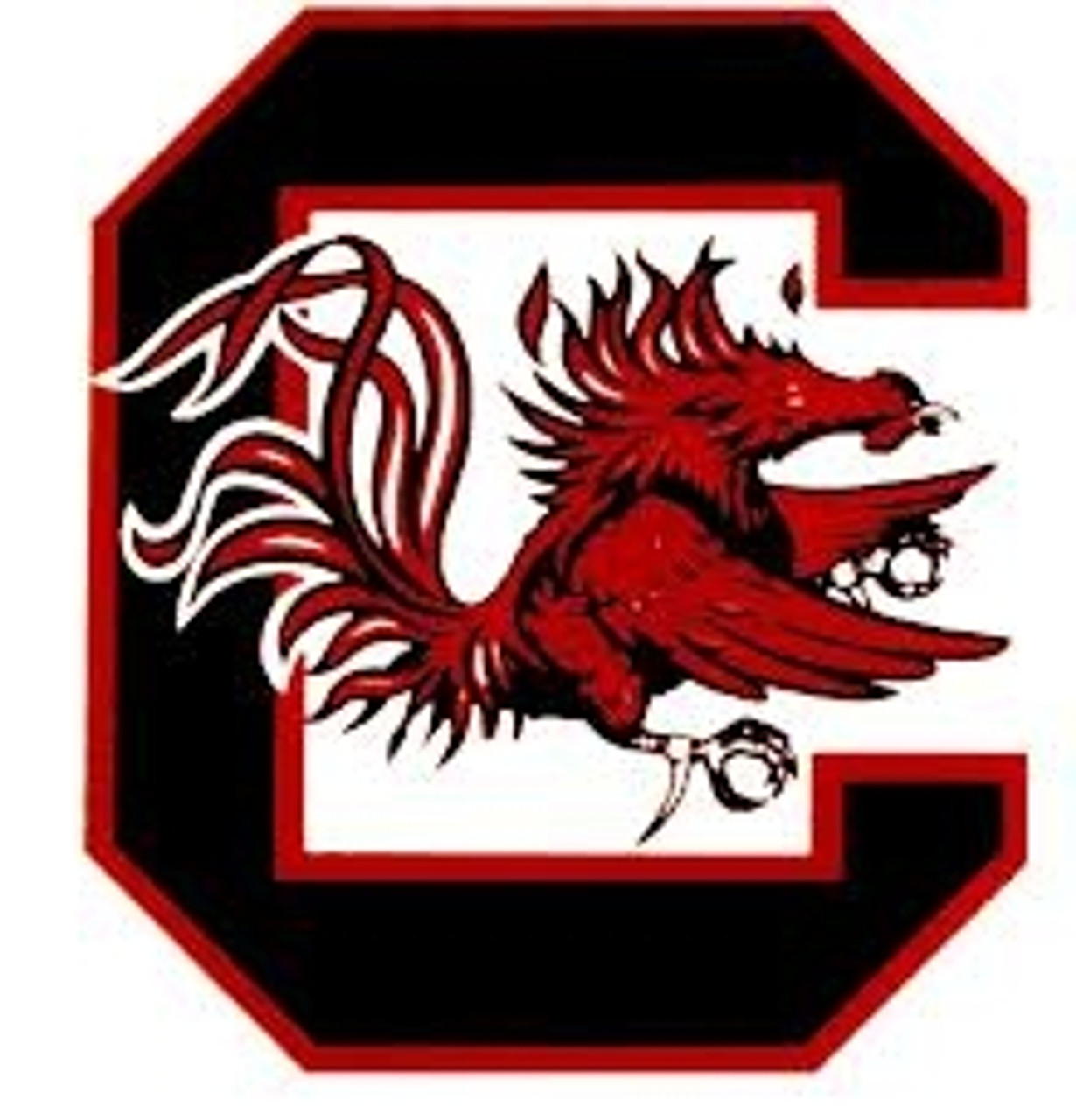 South Carolina Gamecocks