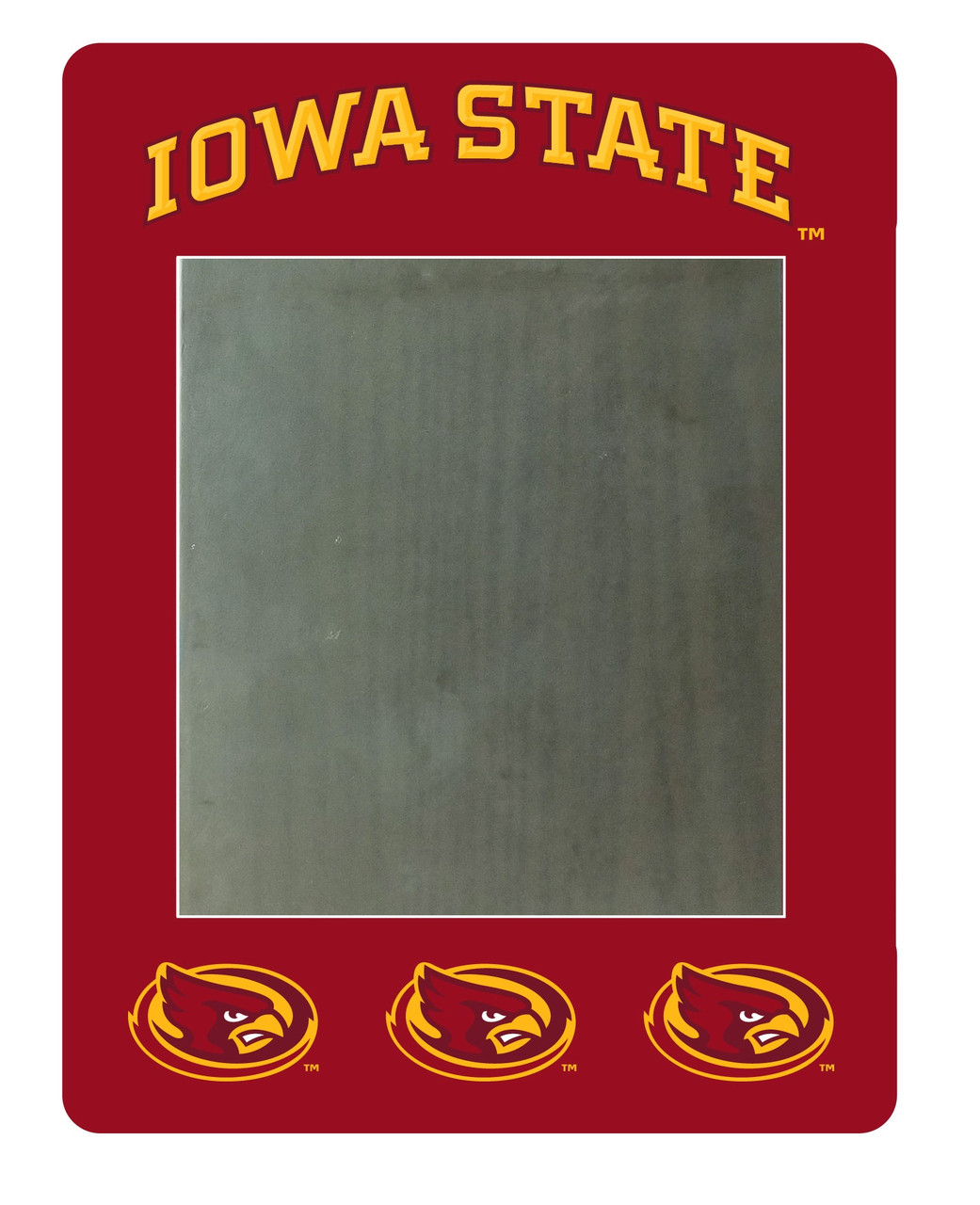 Idaho Vandals Magnetic Locker Mirror